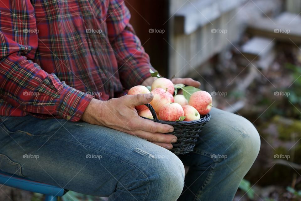male hands with apple