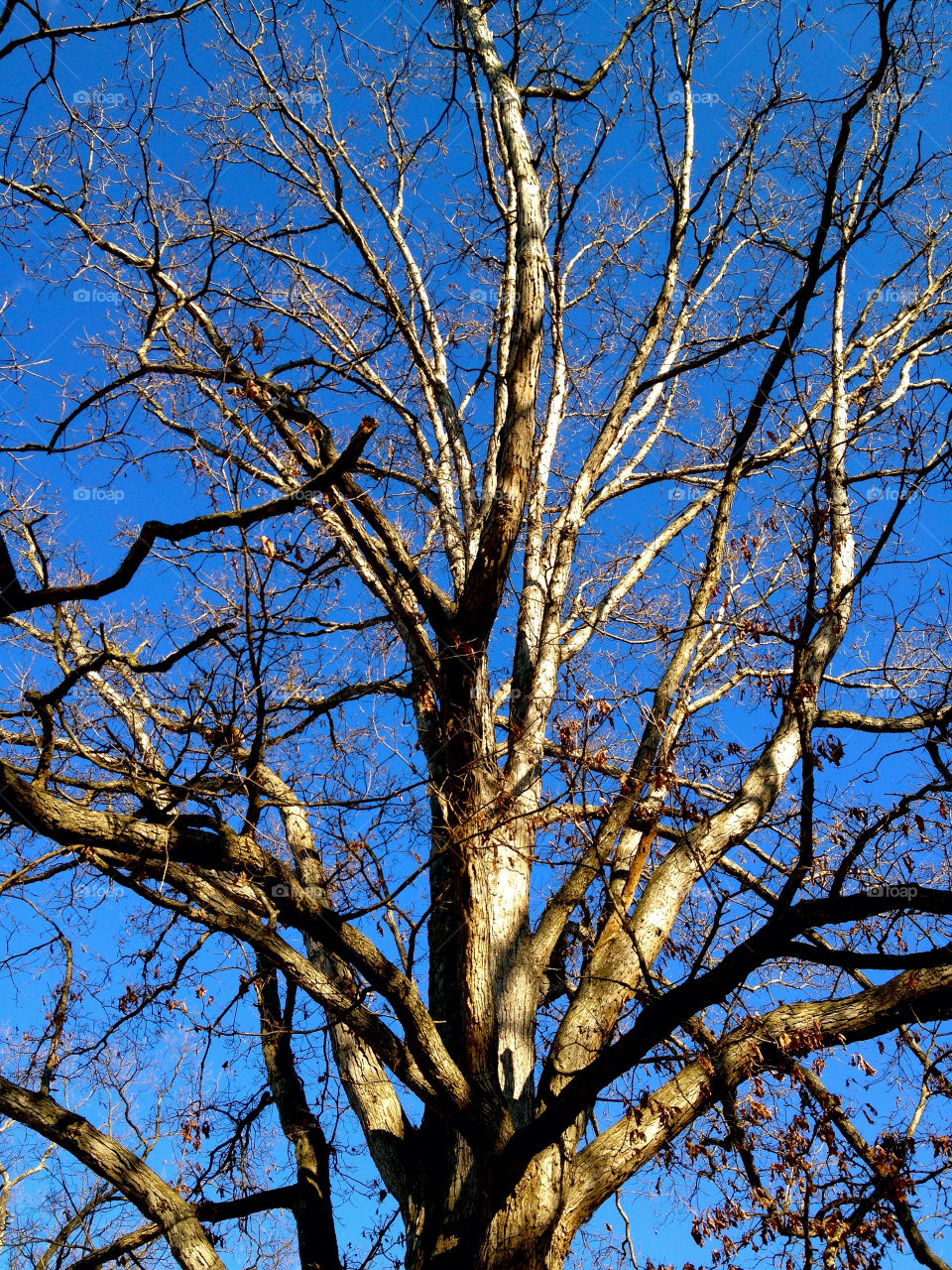 connersville indiana winter sky blue by refocusphoto