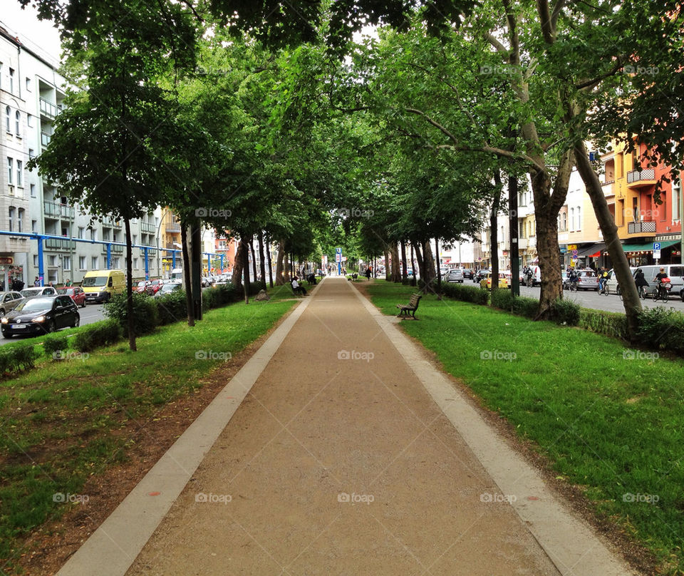 street green meadow trees by aronberlin