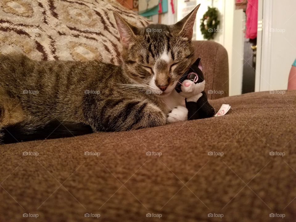 Grey tabby snuggling his stuffed animal friend.  They are napping so peacefully together.
