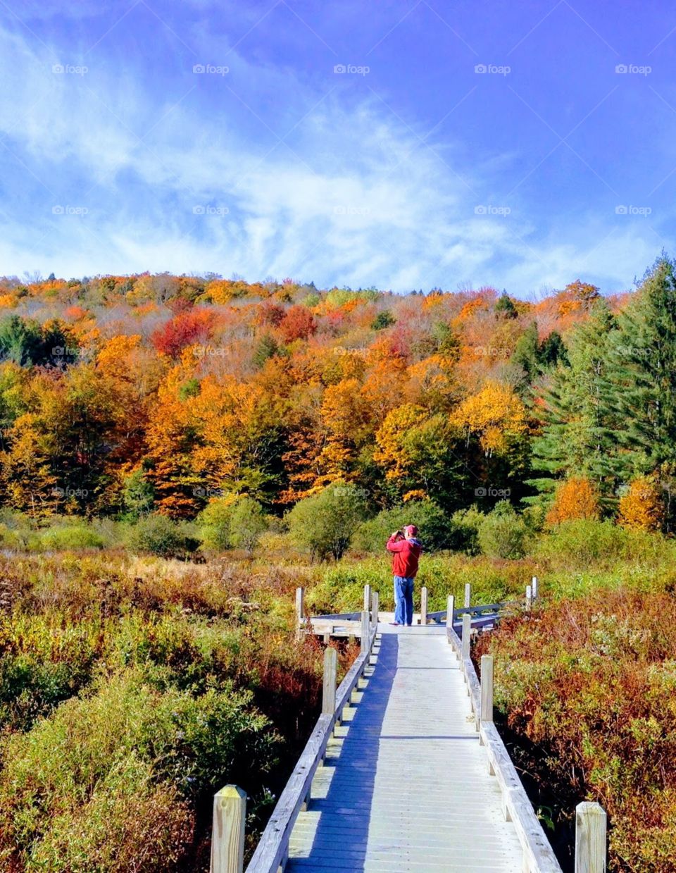 Autumn in New England 