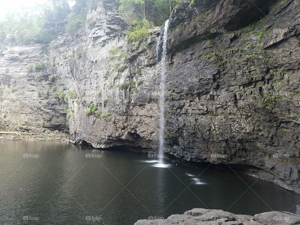 waterfall in the woods