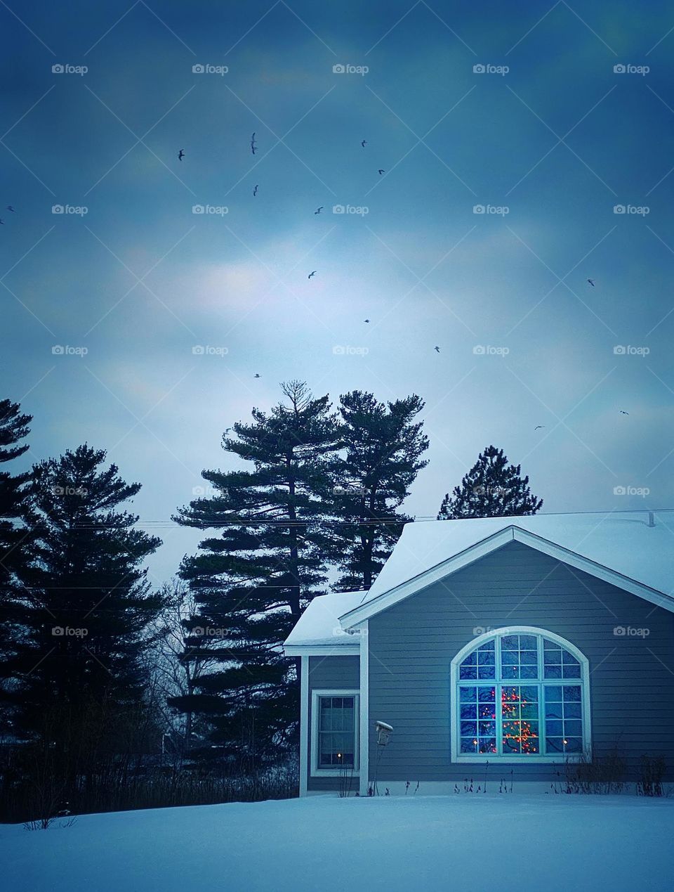 Birds flying over a house with a lighted Christmas tree in the window 