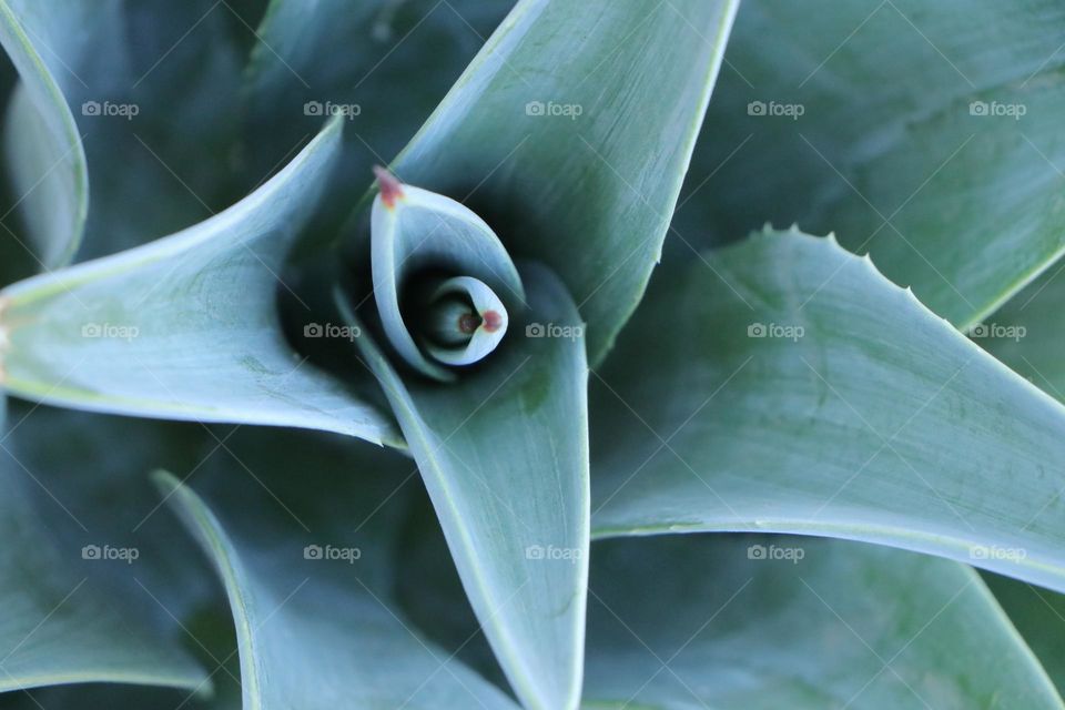 greatest architecture: nature