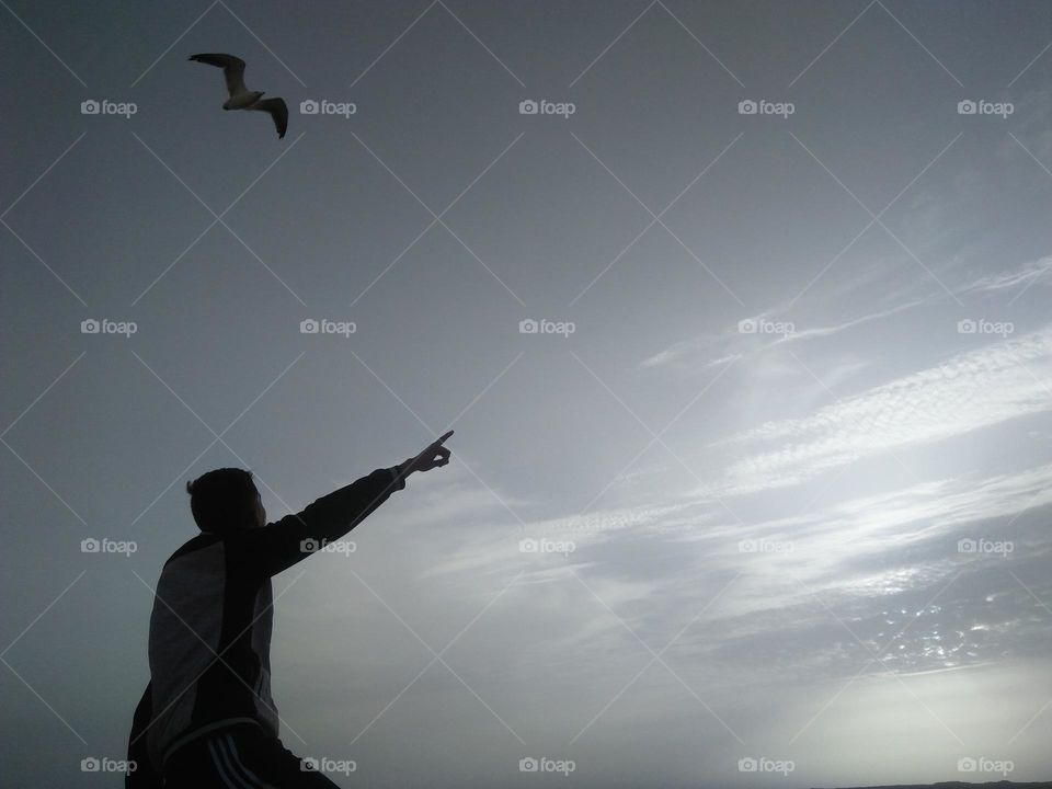 Adult man is looking at flying seagull cross the sky.