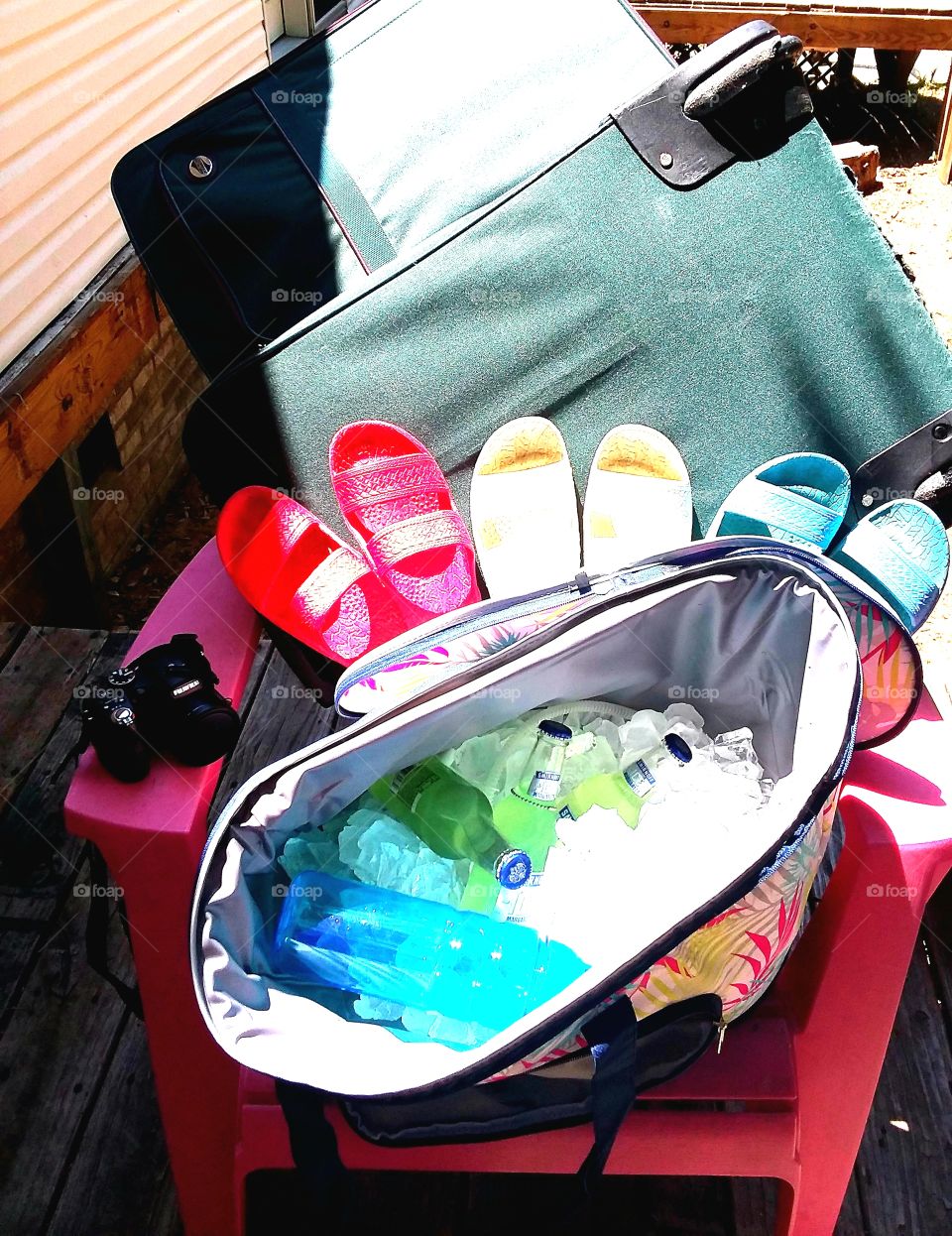 suitcase for a holiday.  All I need are my dogs...they will be here in a minute 🐶🤣🐶🤣