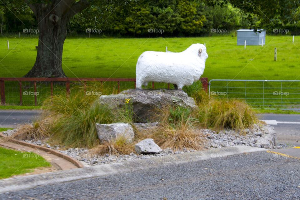 AUCKLAND, NEW ZEALAND THE FARM