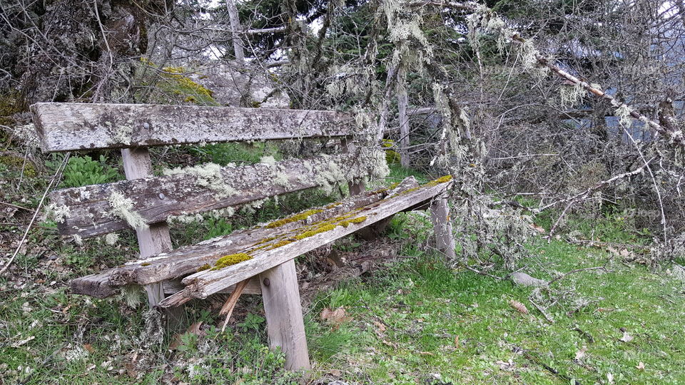abandoned bench