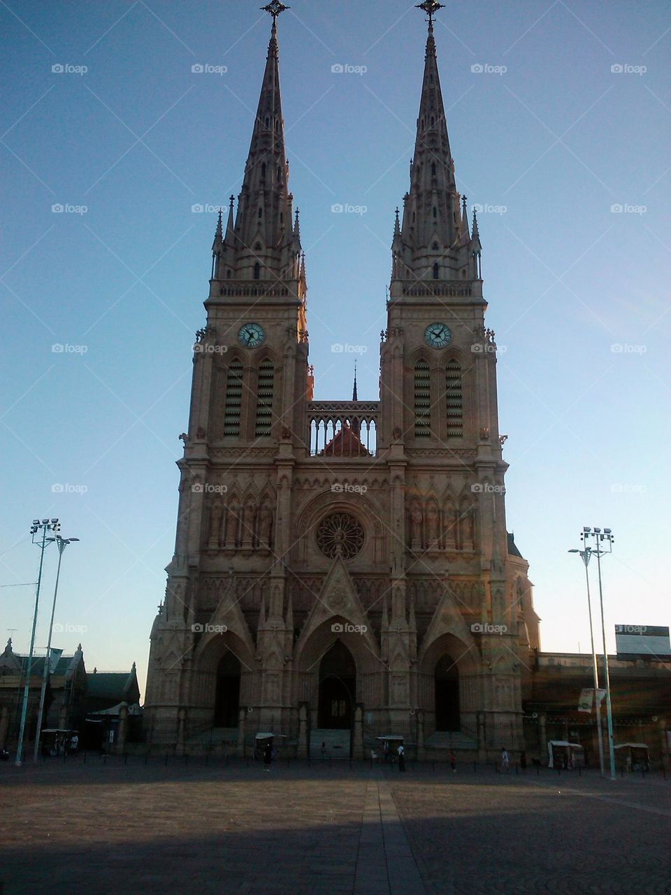 basilisca lujan # basilisk Luján