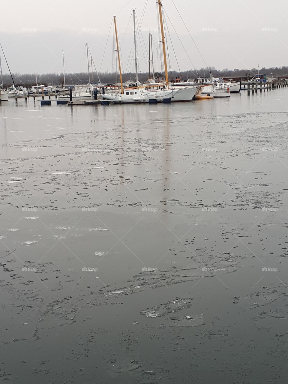 havn - mole - både - frost - vand - vinter