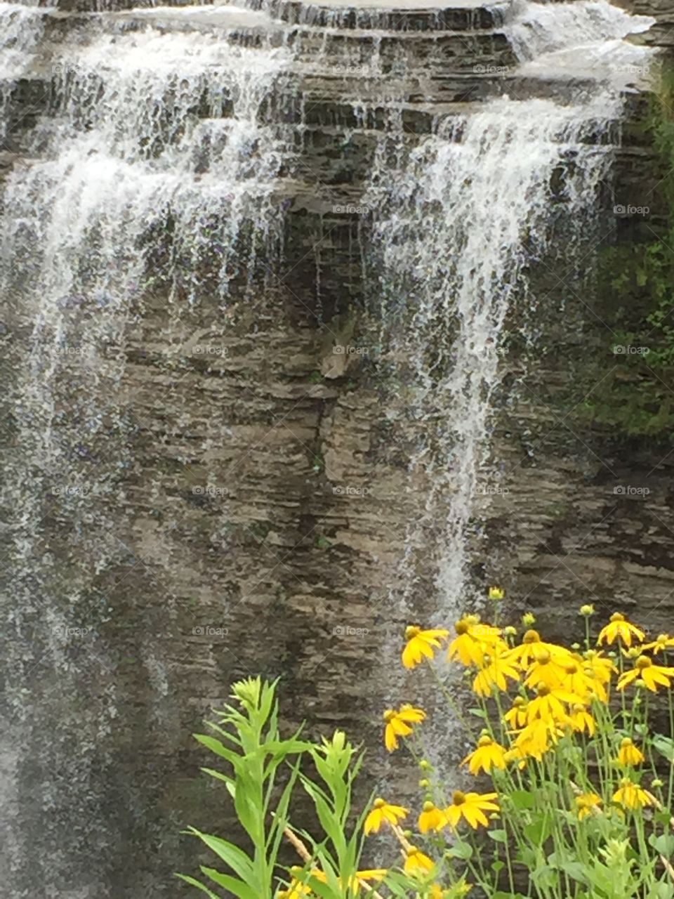 Beautiful falls in Letchworth State Park in New York.