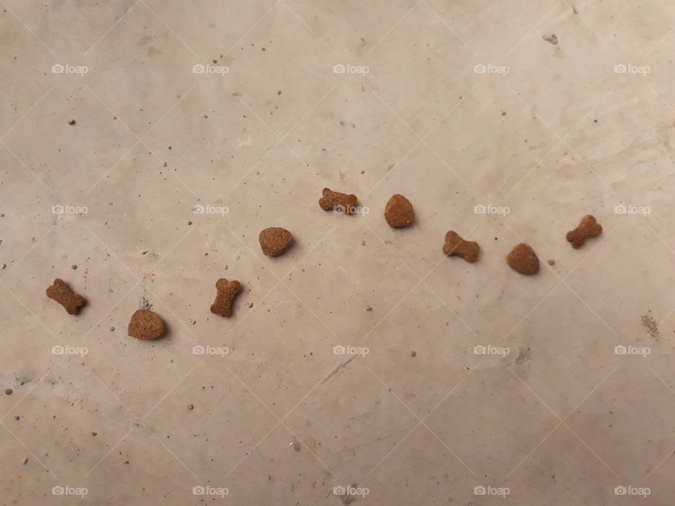 comida de perro con forma de hueso y corazon en línea