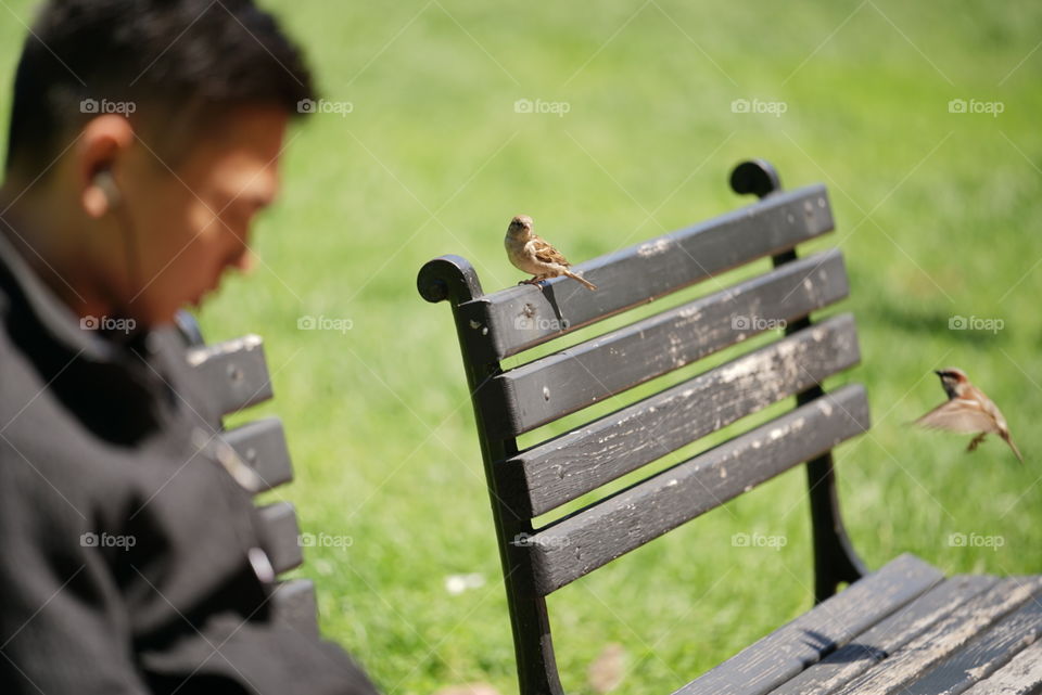 Playing in the park