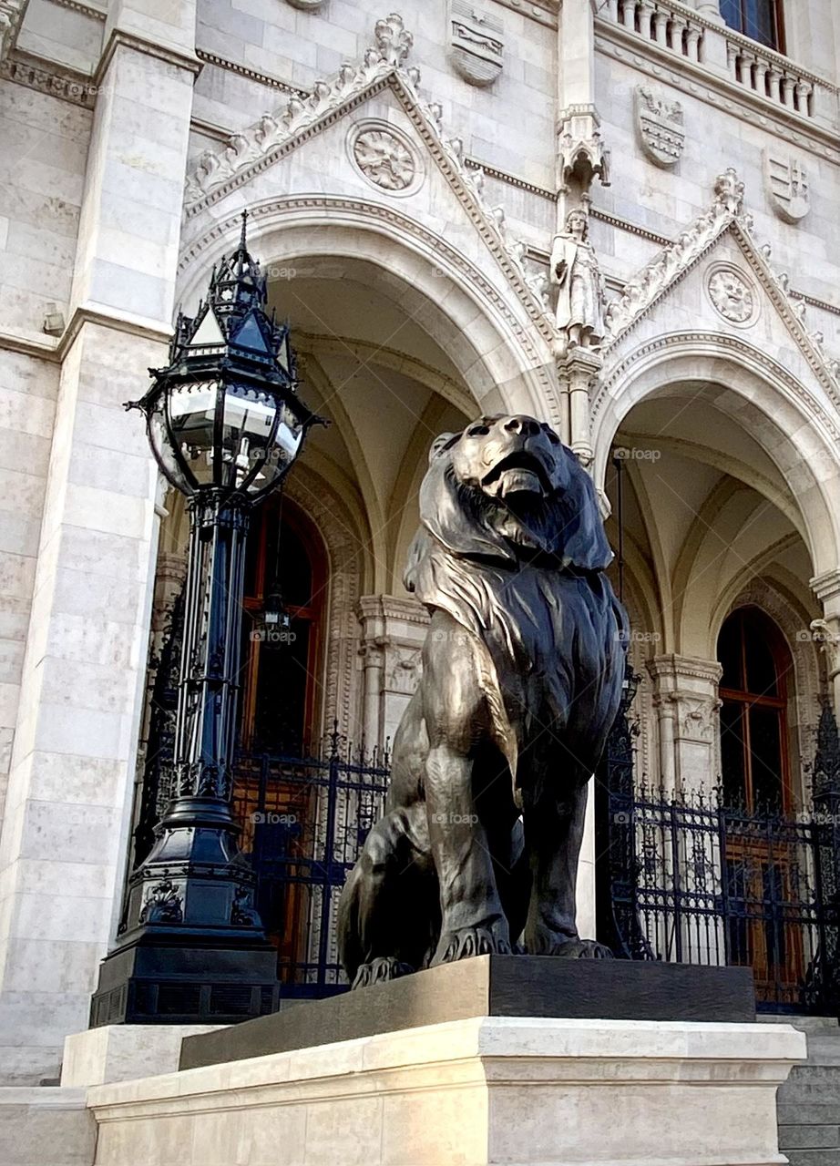 Lion , Budapest Décember 2022 . 