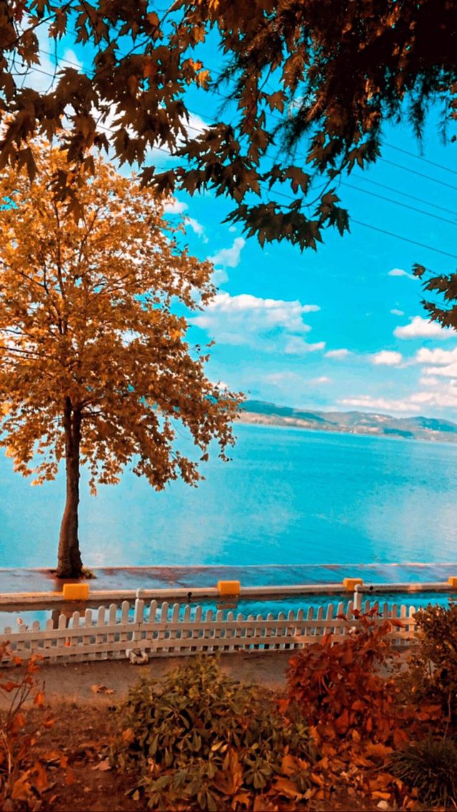 🇹🇷