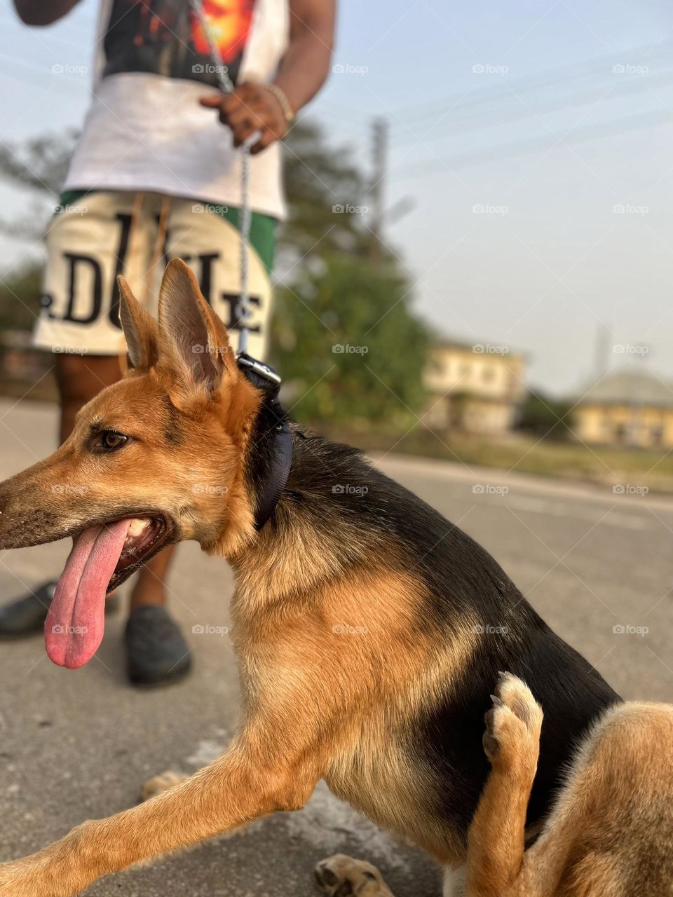 I love it when dogs do the tongue thing