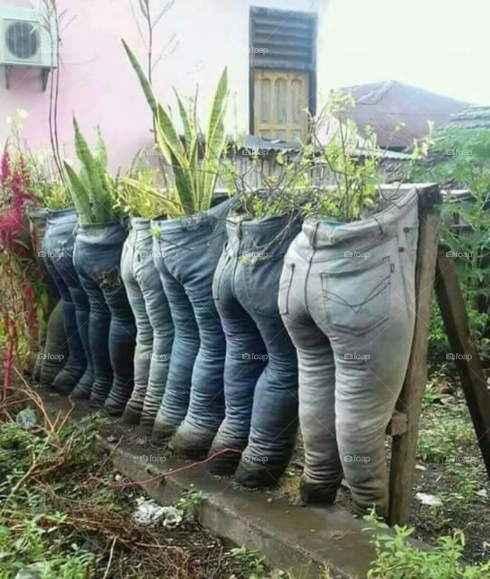 Creative flower pots. Any waste material like your pants can make a flower pot on your home page. And this can save you money.