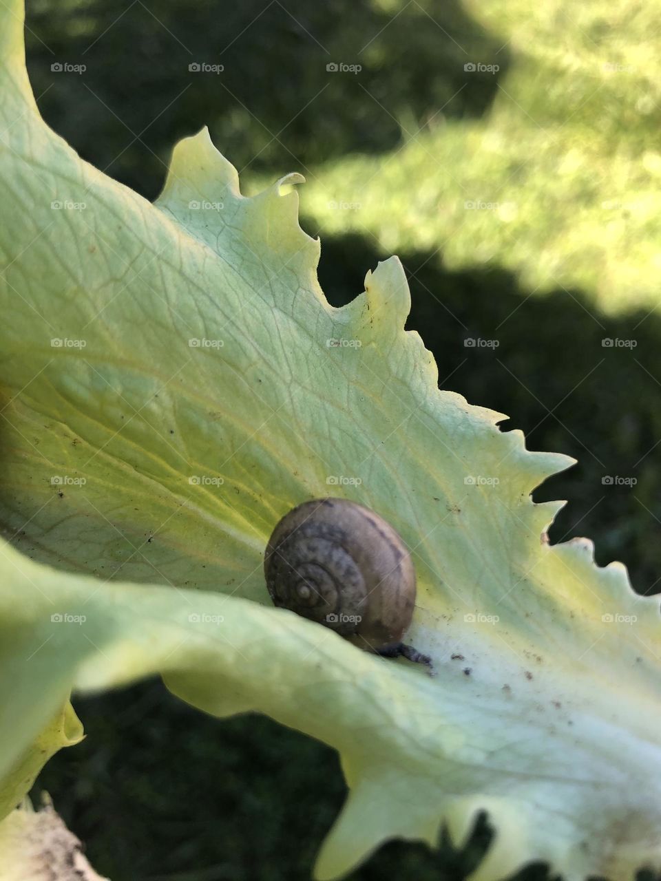 Devagar .. devagar .. 💚