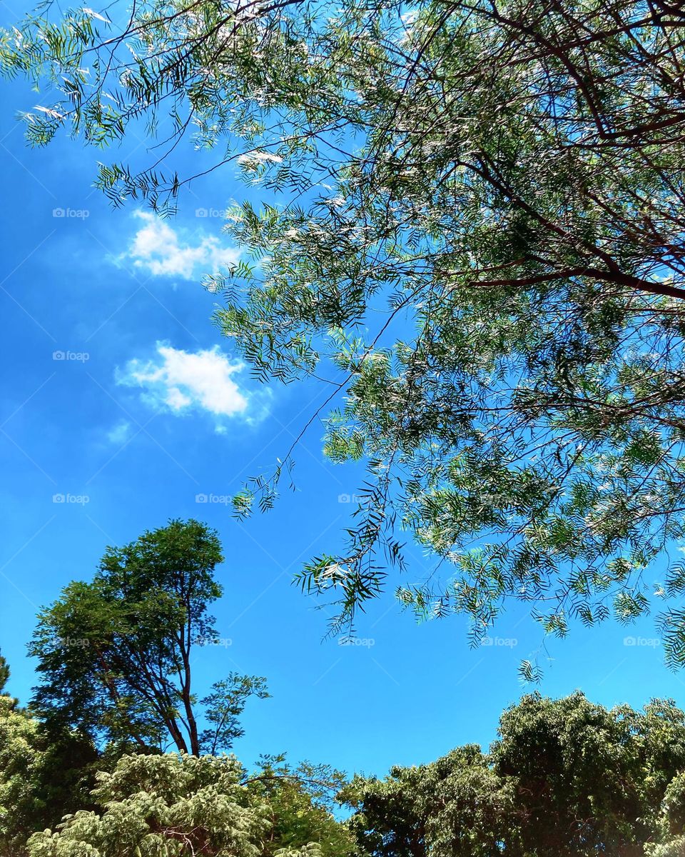 O azul do céu nos ajuda na produção dos hormônios do bem-estar!
Portanto, muito anil na nossa vida…
📸
#FOTOGRAFIAéNOSSOhobby
#natureza #paisagem #fotografia #inspiration #blue