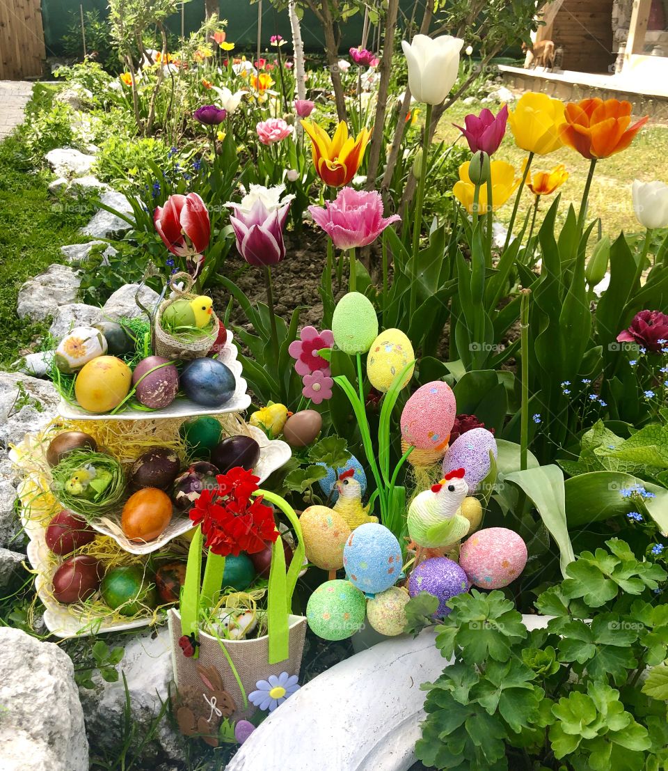 Easter in my garden