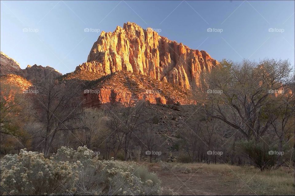 Zion National Park