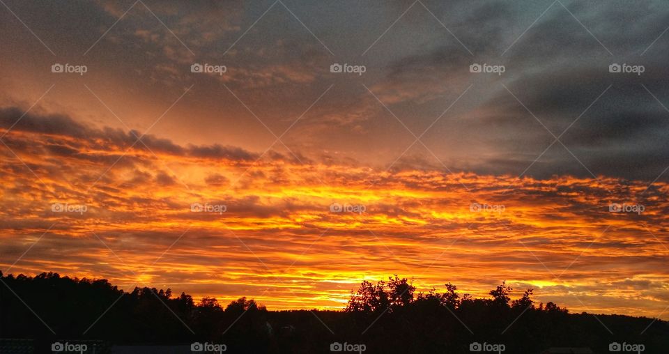 Incredible sunset outside my window