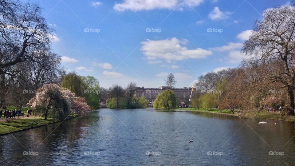 Spring in London 