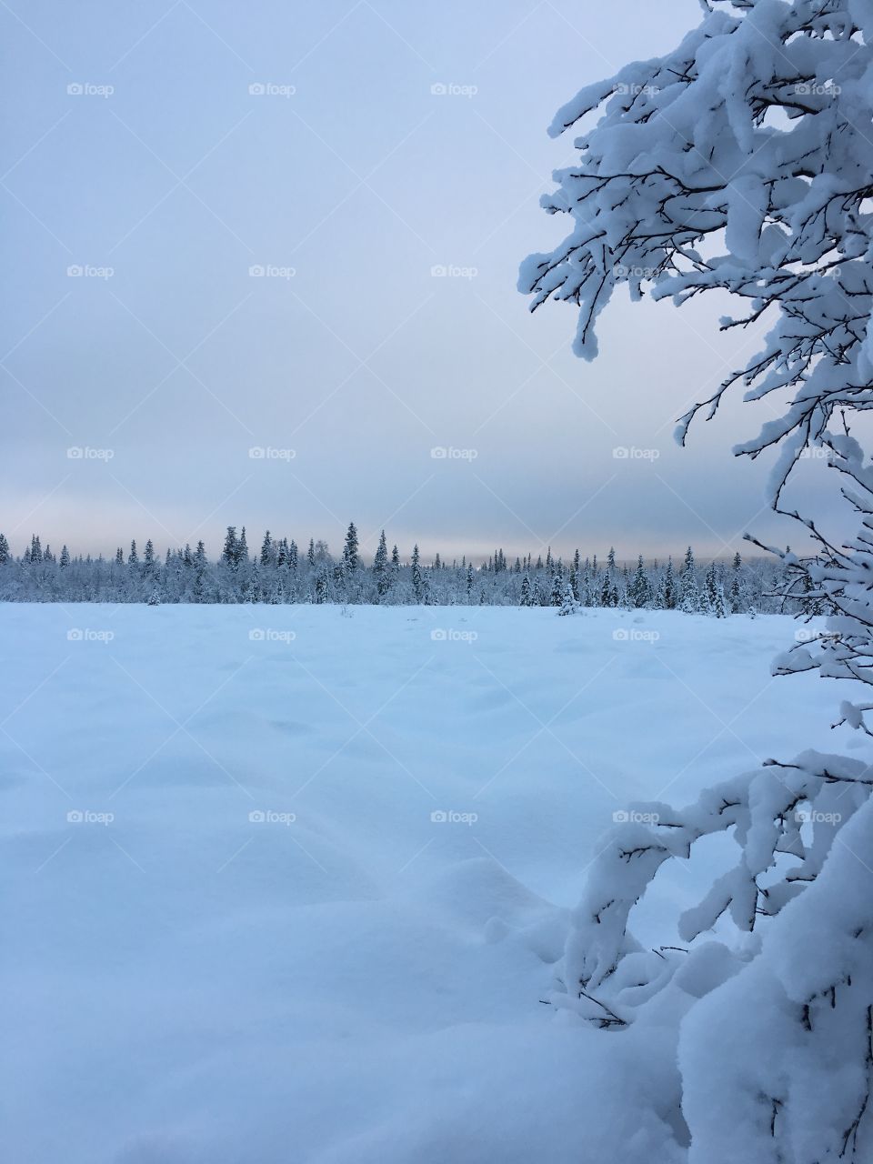 High angle view of snowy landscape