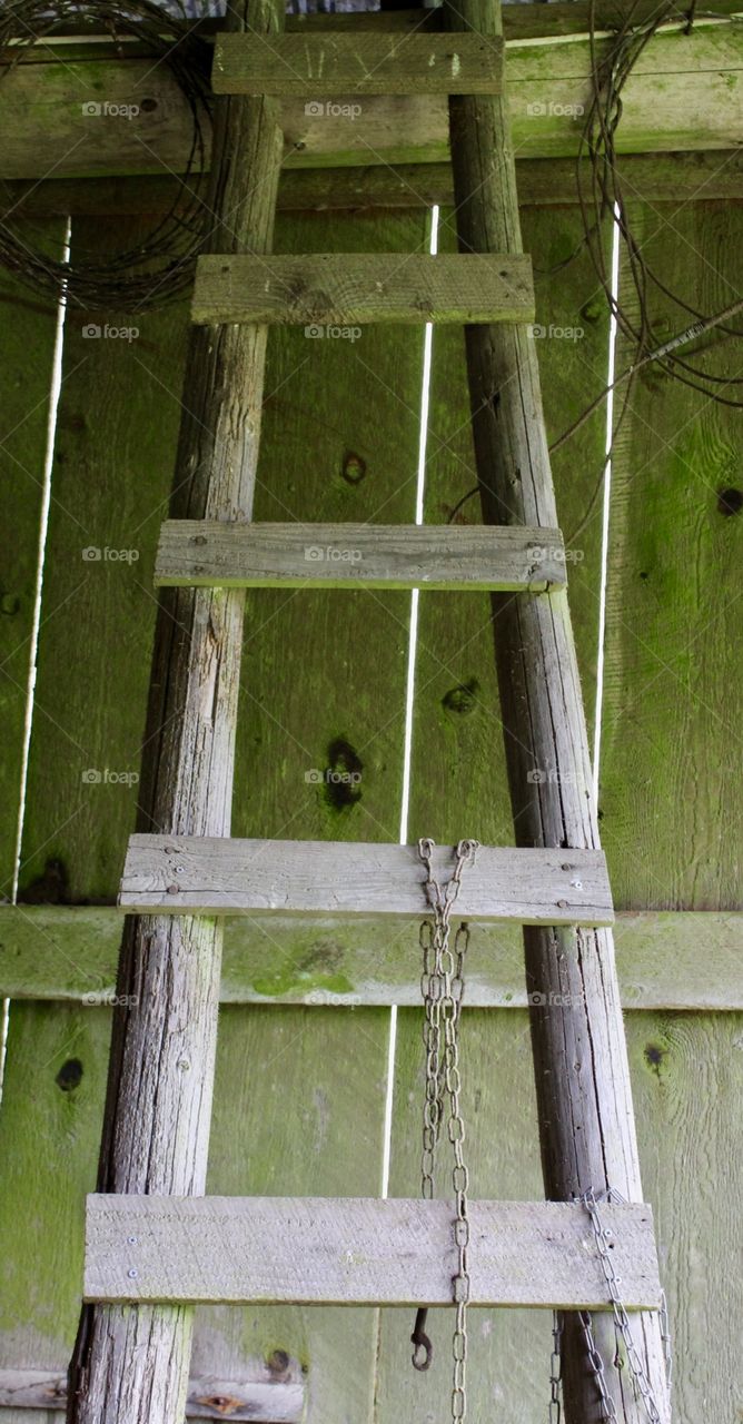Barn Ladder