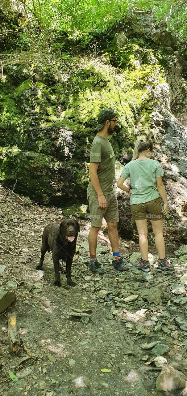 Walking on the forest