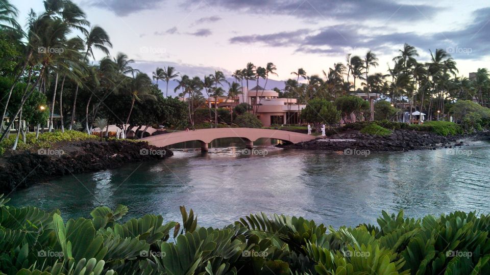 Hawaiian Resort. vacation