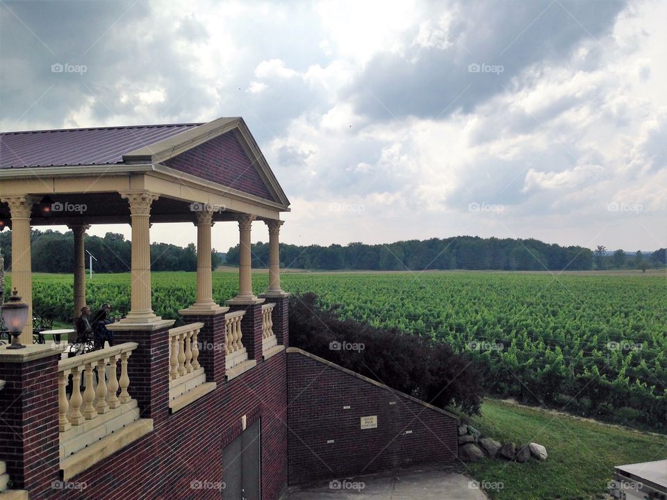 Vineyard and pavilion