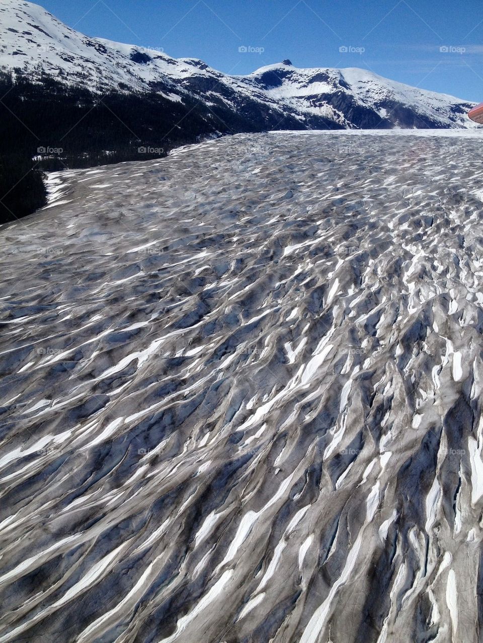 Alaska Glacier Field