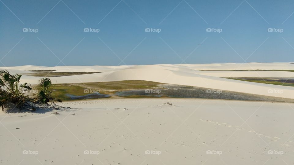 Dunes of Lençóis Maranhenses, Santo Amaro do Maranhão, Maranhão- Brazil