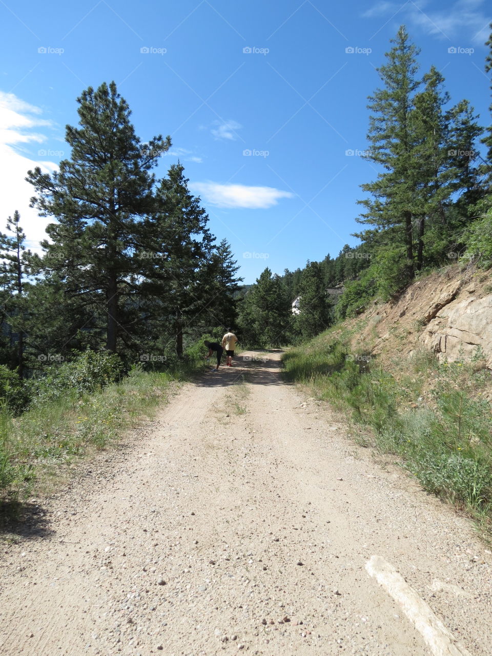 Hiking trail in Colorado.