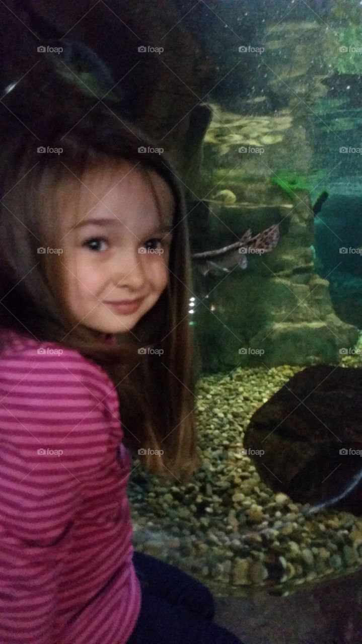 Bean at the aquarium. My daughter, amazed at watching the fish. 