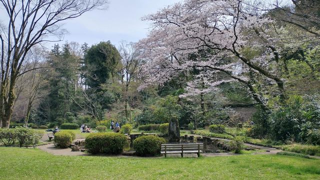 Serigaya Park Tokyo in Spring 
