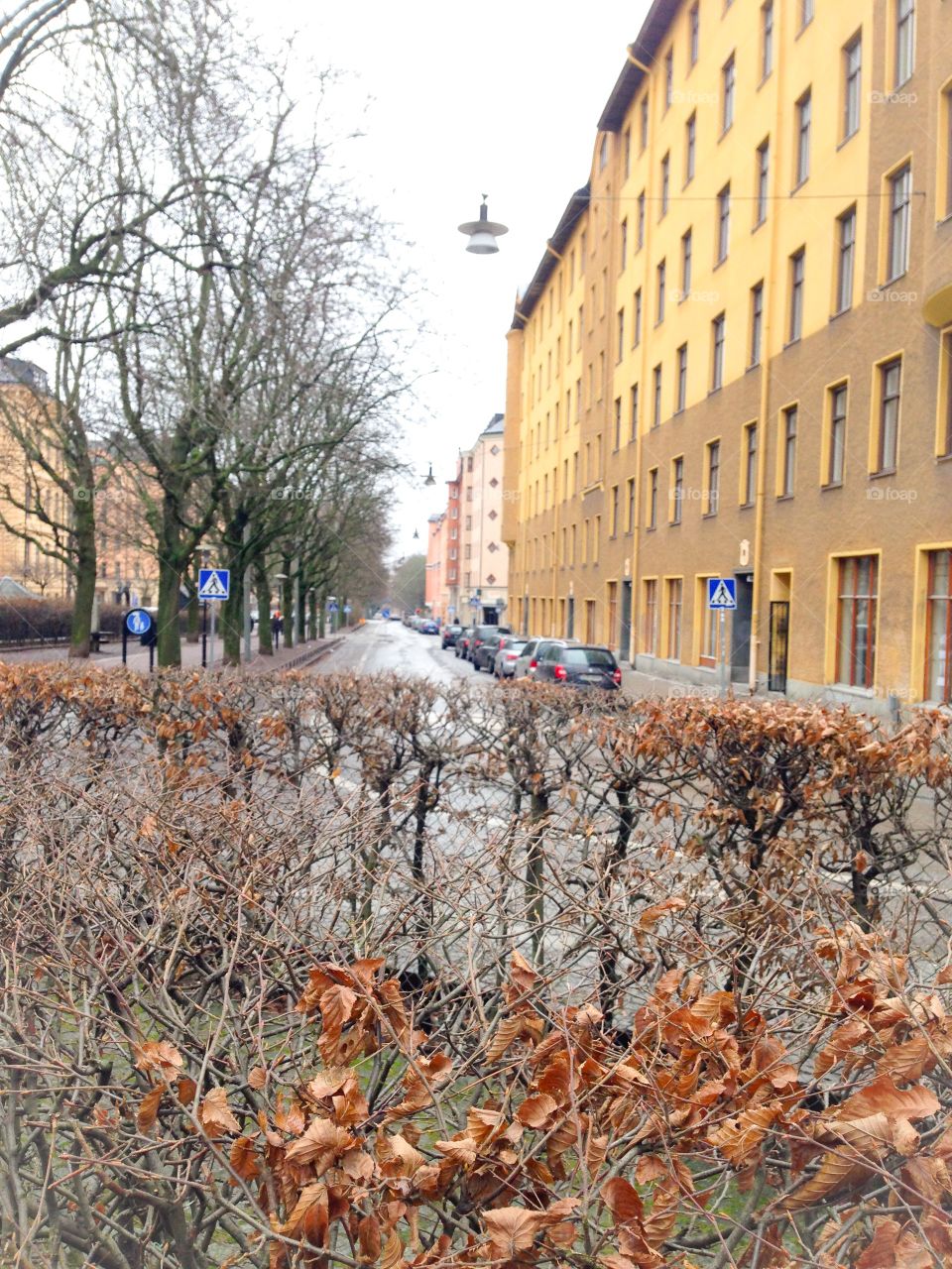 stockholm winter street