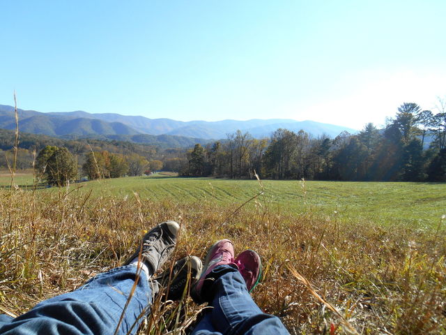 nature