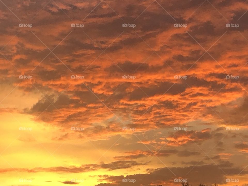 An exquisite sunset showing off in ridged clouds with orange and lavender and bright yellow. 