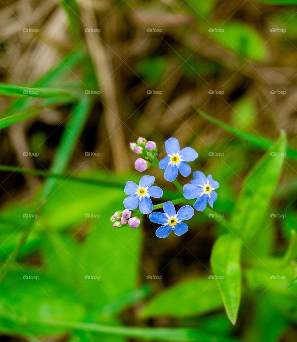 Летние каникулы