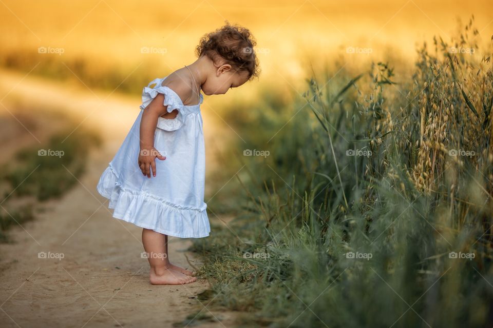 Little girl in rye field at summer evening 