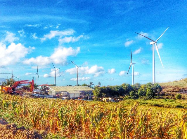 windmill