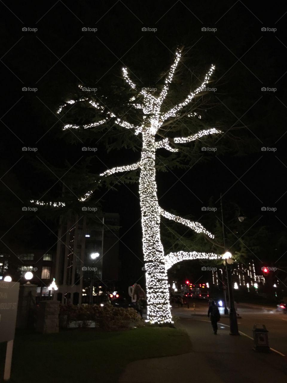 Enlighten tree