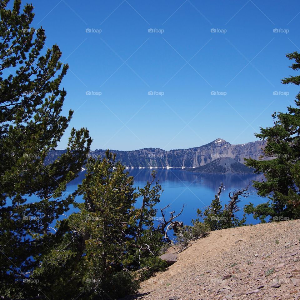 Wizard Island seen through beautiful fir trees at Crater Lake National Park in Southern Oregon on a sunny summer morning. 