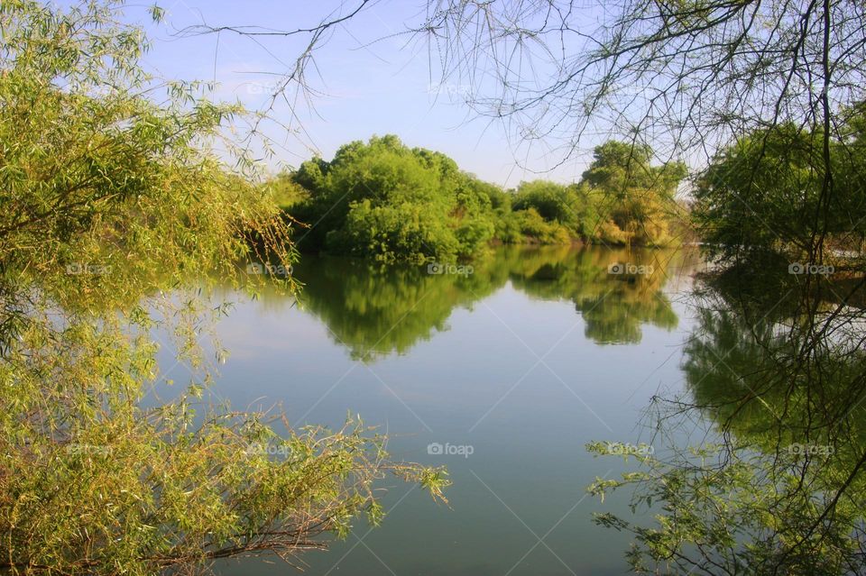 Beautiful Reflections in Nature Preserve