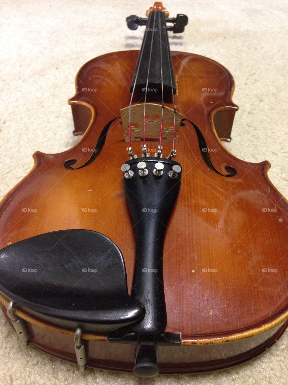 Violin love. Close up of violin