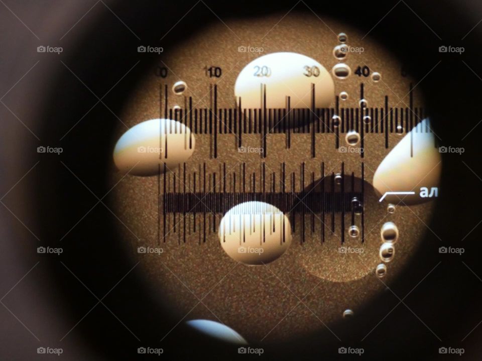 Under the micsroscope