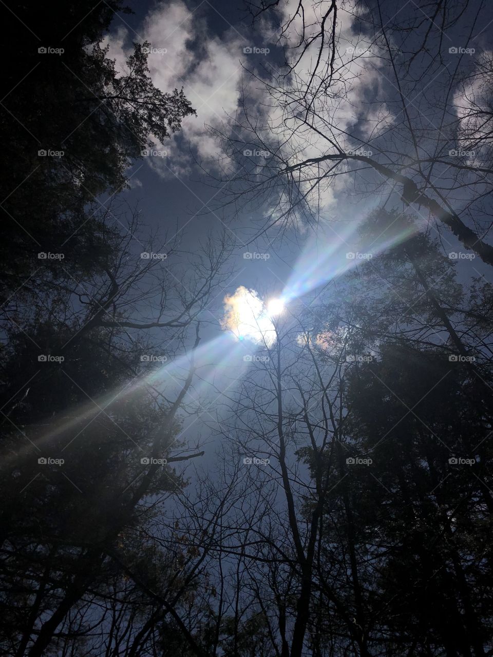 Above the canopy. Sun through the clouds. Black Rock State Park.