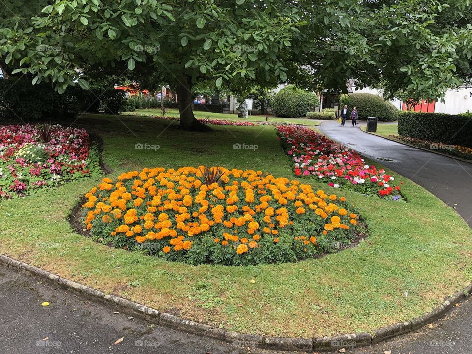 General view of the most beautiful Victoria Park in Bideford, Devon, UK 